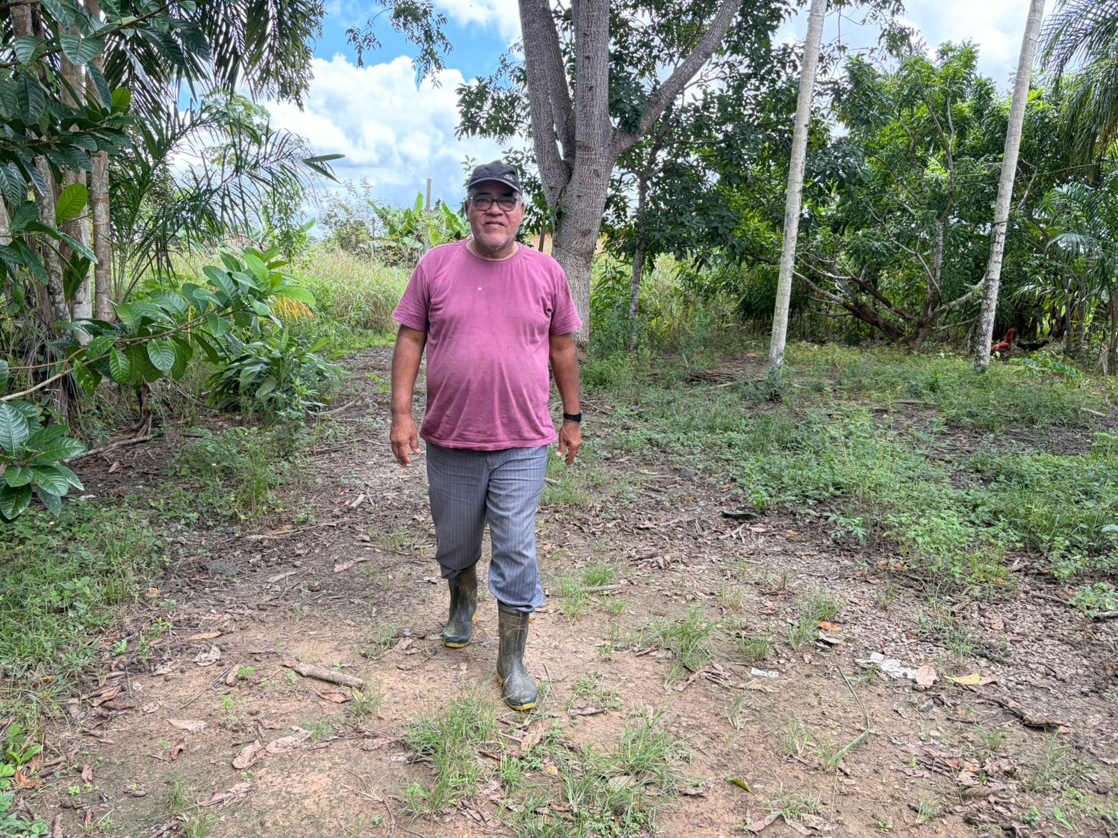 Josilei acompanhando de perto o desenvolvimento dos cinco mil pés de mandioca plantados há cinco meses em sua propriedade